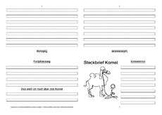 Kamel-Faltbuch-vierseitig-5.pdf